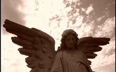 There must be an angel…