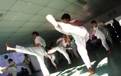 Vivendo e aprendendo a lutar